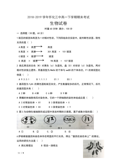 2018-2019学年湖南省怀化三中高一下学期期末考试生物试卷及答案