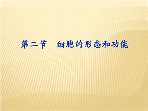 细胞的形态和功能
