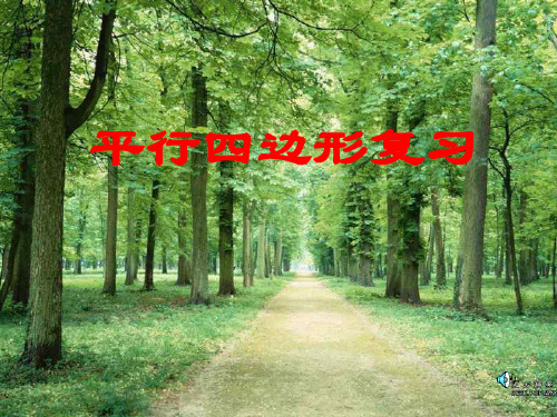 平行四边形复习--华师大版
