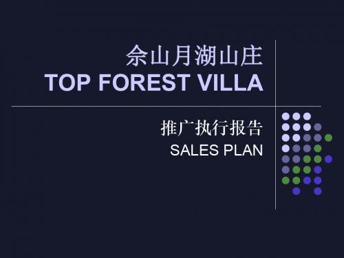 2019精品佘山顶级富豪别墅推广执行报告文档