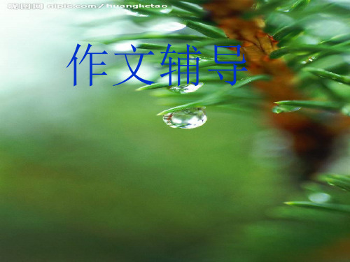 初中作文学习人物的细节描写ppt[优质作文]
