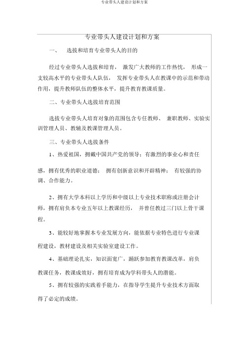 专业带头人建设计划和方案