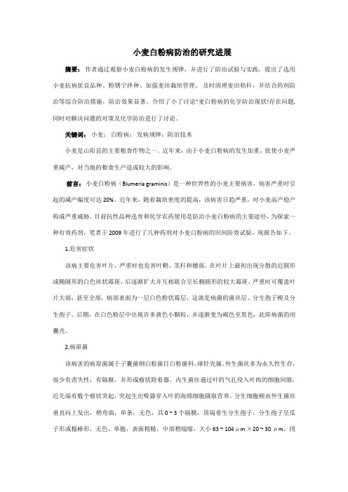 小麦白粉病