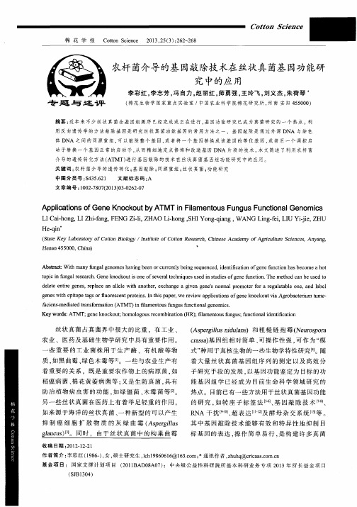 农杆菌介导的基因敲除技术在丝状真菌基因功能研究中的应用