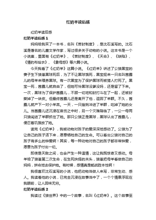 红奶羊读后感
