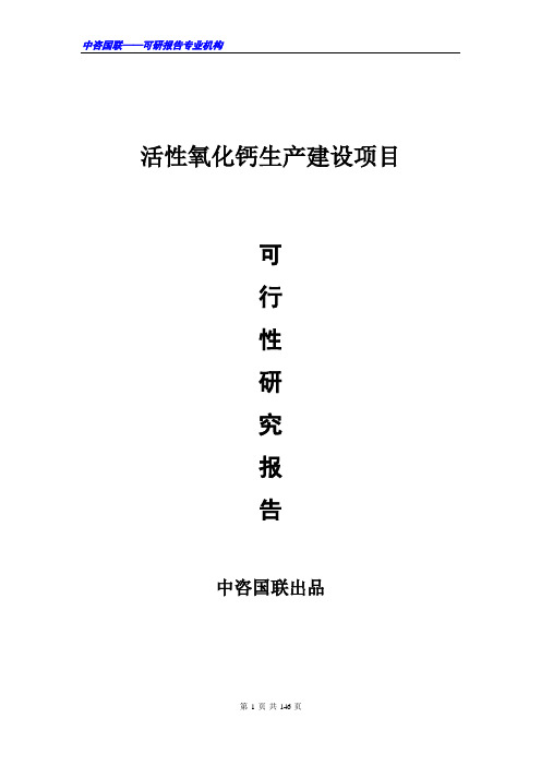 活性氧化钙生产建设项目可行性研究报告范文