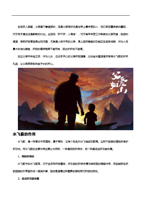 父亲节礼物如何挑选,了解水飞蓟这份养肝好礼物