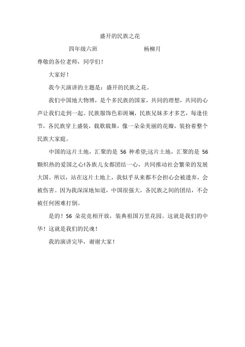 盛开的民族之花6