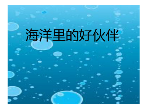 海洋里的好伙伴PPT课件