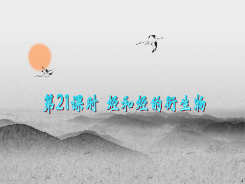 烃和烃的衍生物PPT精品课件