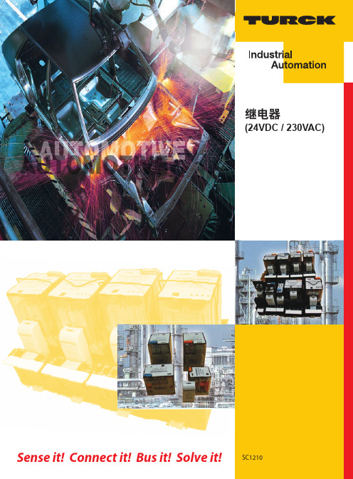 图尔克RURCK继电器(24VDC _ 230VAC)