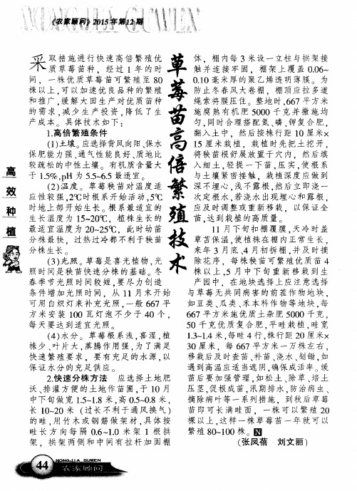 草莓苗高倍繁殖技术
