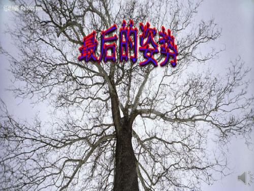 苏教版六年级上册《最后的姿势》教学课件