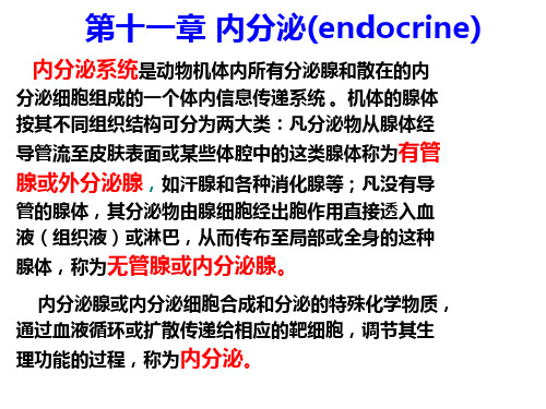 动物生理学课件：第11章内分泌