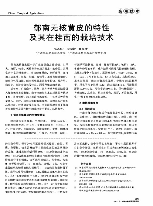 郁南无核黄皮的特性及其在桂南的栽培技术