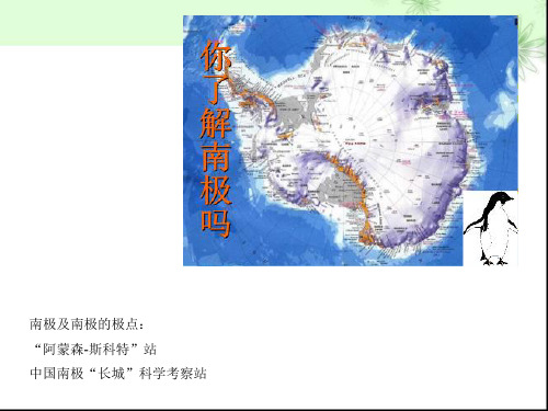 伟大的悲剧ppt