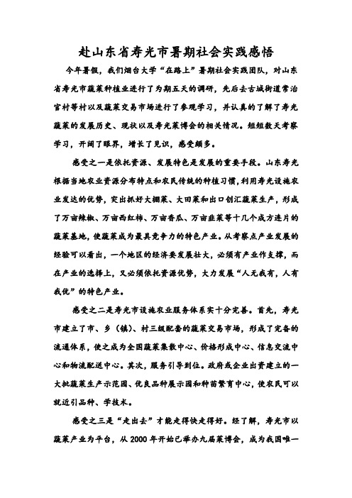 赴山东省寿光市暑期社会实践感悟