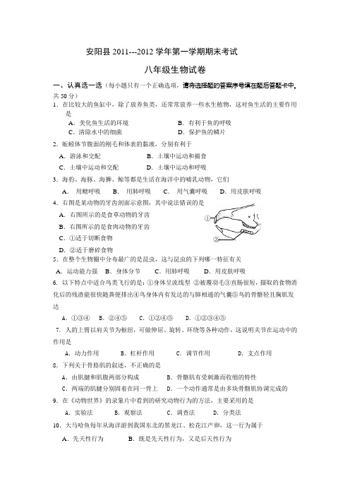 安阳县20112012学年度八年级生物上册期末试题及答案