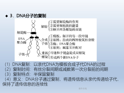 2020高考生物二轮复习第8章遗传的分子基础课件_1_21-25