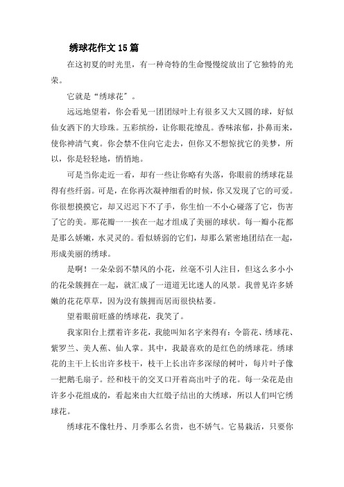 绣球花作文精选