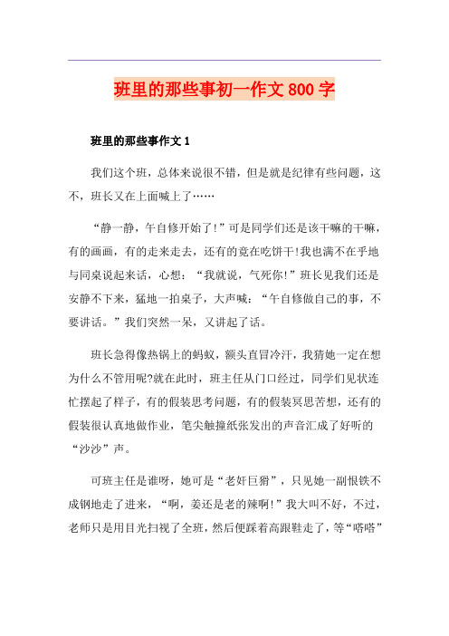 班里的那些事初一作文800字