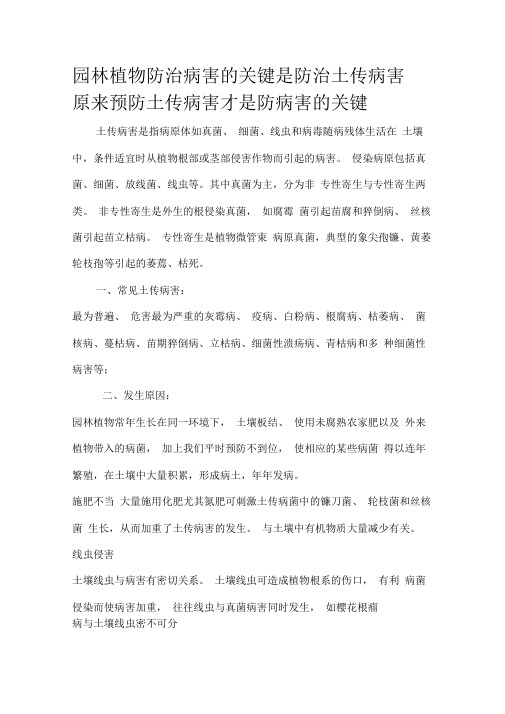 园林植物防治病害的关键是防治土传病害