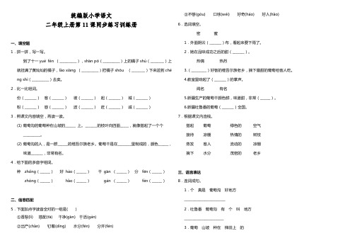 部编版小学语文二年级上册11.葡萄沟 课课练试题(含答案)
