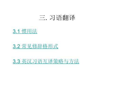 英汉翻译技巧与实践习语翻译