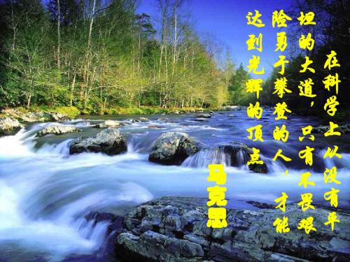 锐角三角函数(3)