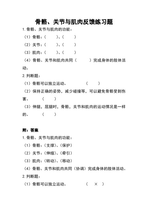 四年级上册科学试题-4.2 骨骼、关节和肌肉(无答案)｜教科版