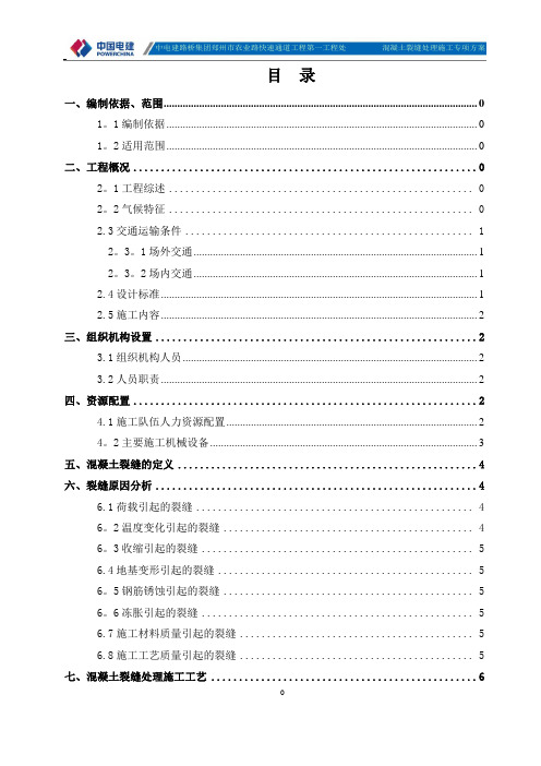 混凝土裂缝处理专项施工方案(一标)