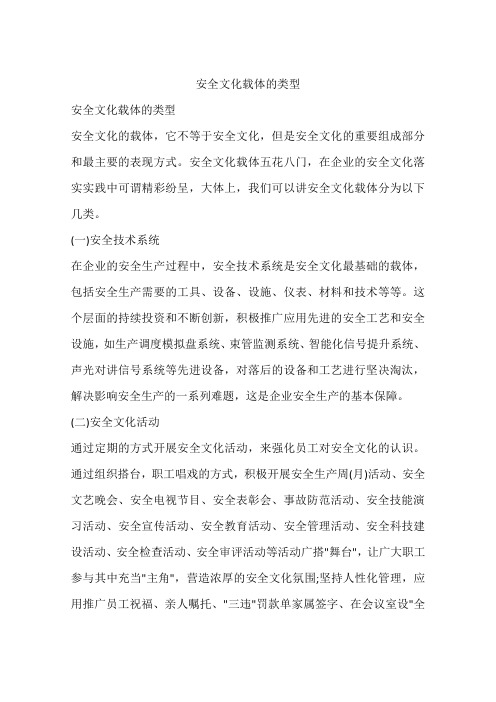 安全文化载体的类型