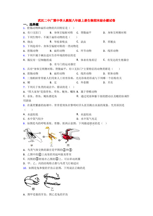 武汉二中广雅中学人教版八年级上册生物期末综合题试卷