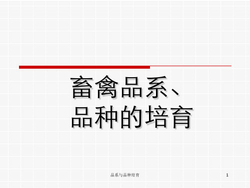 品系与品种培育