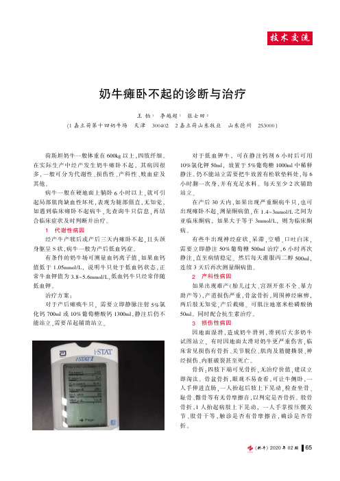 奶牛瘫卧不起的诊断与治疗