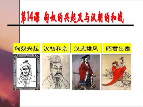 匈奴与汉朝的和战(民族关系)
