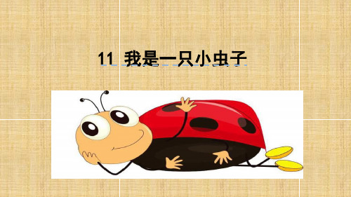 《我是一只小虫子》教学ppt课件(部编版二下)