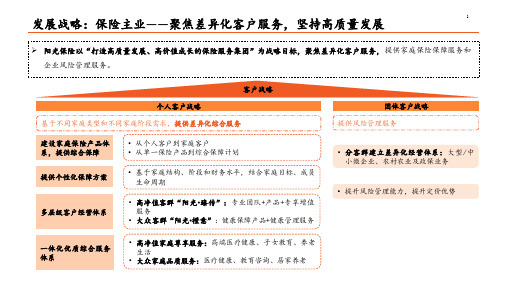 阳光保险业务战略：保险、医养健康、数据科技