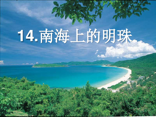 《南海上的明珠》ppt课件