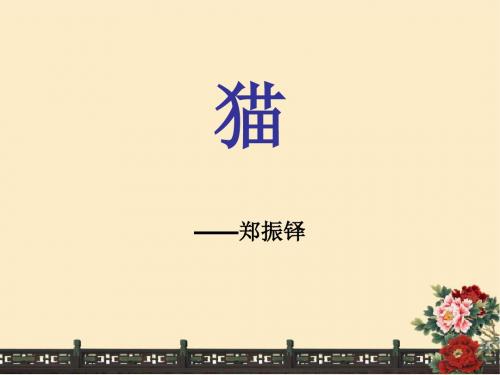26猫