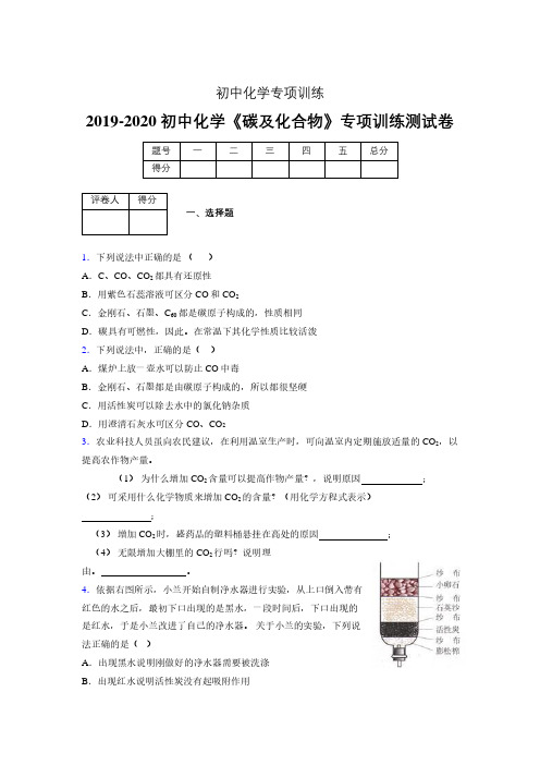 2019-2020学年初中化学《碳及化合物》专项训练模拟测试(含答案) (159)