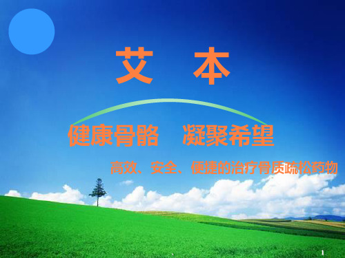 艾本骨质疏松ppt课件