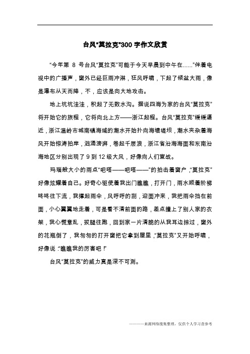 台风“莫拉克”300字作文欣赏