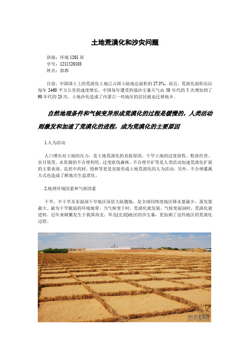 土地荒漠化和沙灾问题