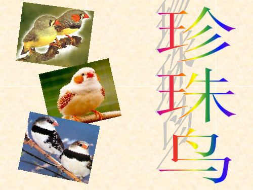 苏教版四年级语文上册《珍珠鸟》课件