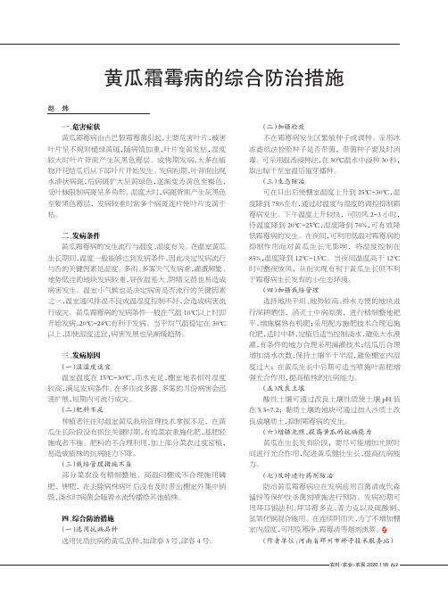 黄瓜霜霉病的综合防治措施