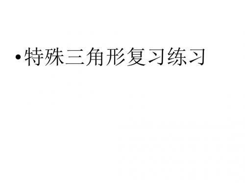 九年级数学特殊三角形复习(新编2019)