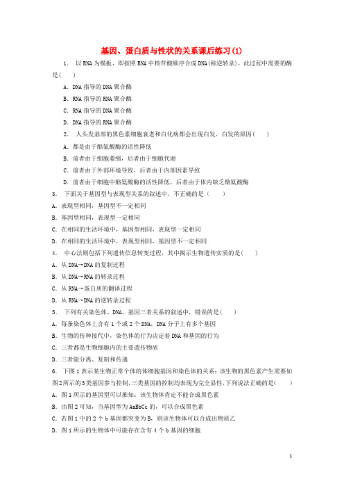 江苏省启东市高考生物专项复习 基因的表达 基因对性状的控制 基因、蛋白质与性状的关系(1)练习 苏教版