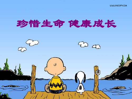 第六周主题班会