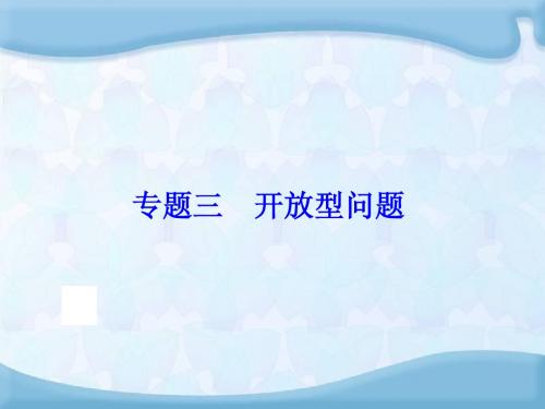 【中考备战策略】2014中考数学(人教版)总复习课件：专题三 开放型问题